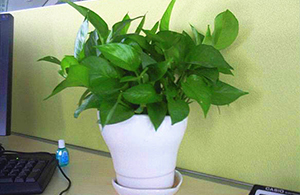 行業(yè)動(dòng)態(tài)